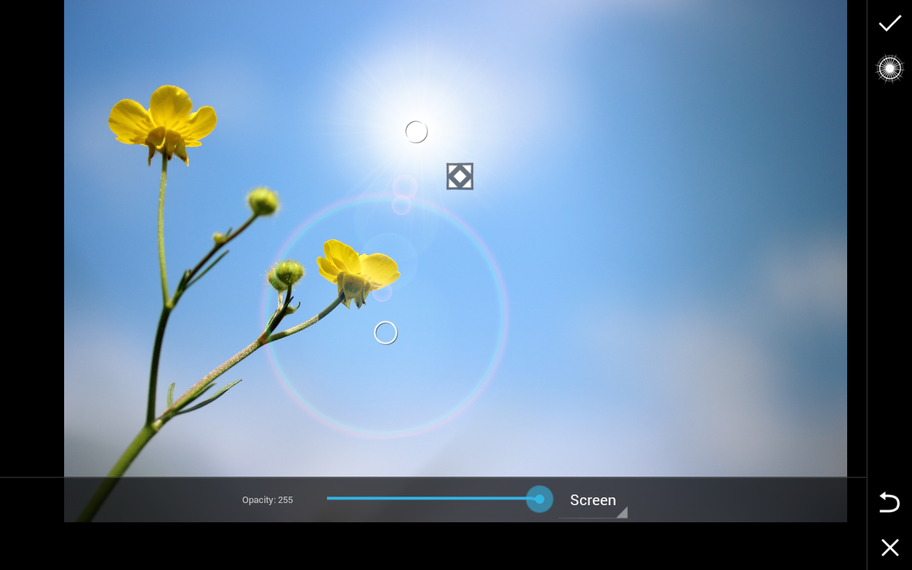 7 Step Tutorial For PicsArt’s New Lens Flare Effect - Picsart Blog